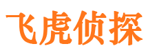 加查市私家侦探